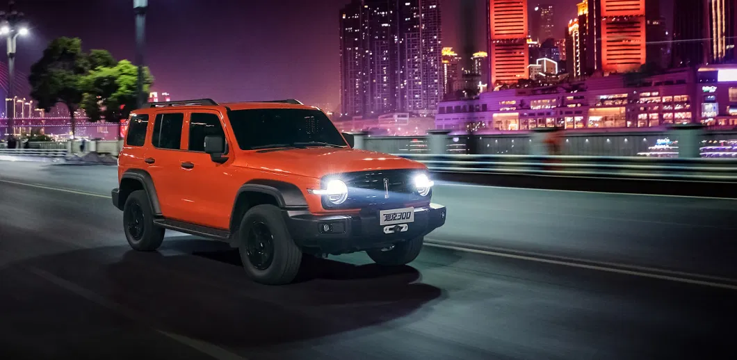 All Terrain Comfortable off-Road Vehicles in China Tank 300 Used Cars at a Low Price Hot Sell