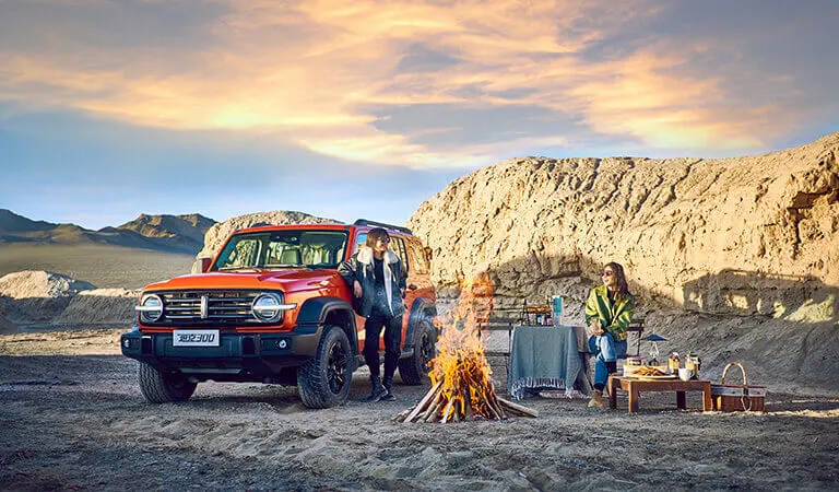 All Terrain Comfortable off-Road Vehicles in China Tank 300 Used Cars at a Low Price Hot Sell